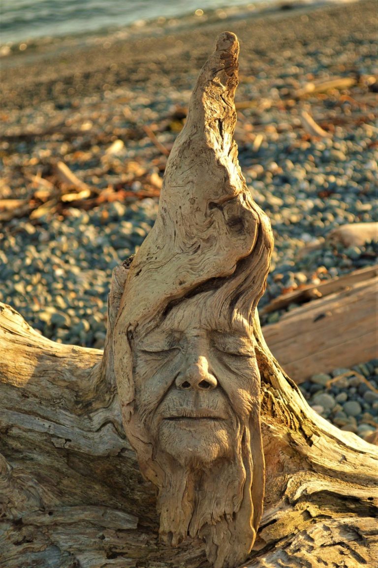 Magnificent Driftwood Sculptures Made from Discarded Wood Tales by Trees